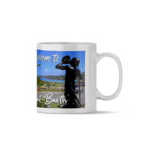 MB102 WELCOME TO SBH