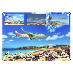 P113 "American airlines"