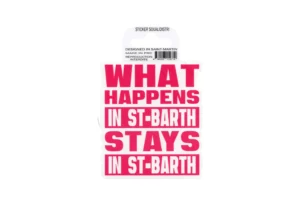 SBST008 « WHAT HAPPENS IN SBH »